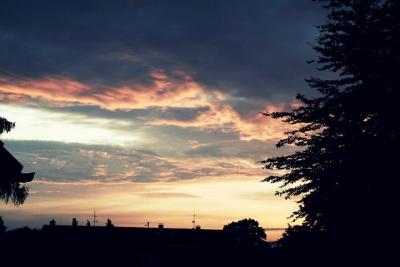 [...] Wir leben immer schneller,<br />
 feiern zu hart,<br />
 wir treffen die Freunde und vergessen unsern Tag,<br />
 wolln' kein Stress, kein Druck,<br />
 nehm'n Zug, noch'n Schluck vom Gin Tonic,<br />
 guck in diesen Himmel: wie aus Hollywood!<br />
 Rot knallt in das Blau,<br />
 vergoldet deine Stadt,<br />
 und &uuml;ber uns zieh'n lila Wolken in die Nacht! [...] Lila Wolken<br />
 von Marteria, Miss Platnum & Yasha 